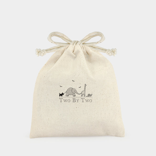 Small Bagged Noah's ark set