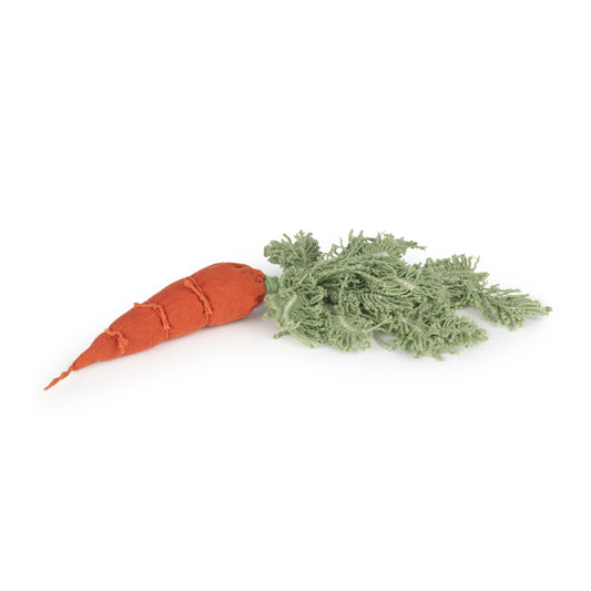 DIY Cathy The Carrot