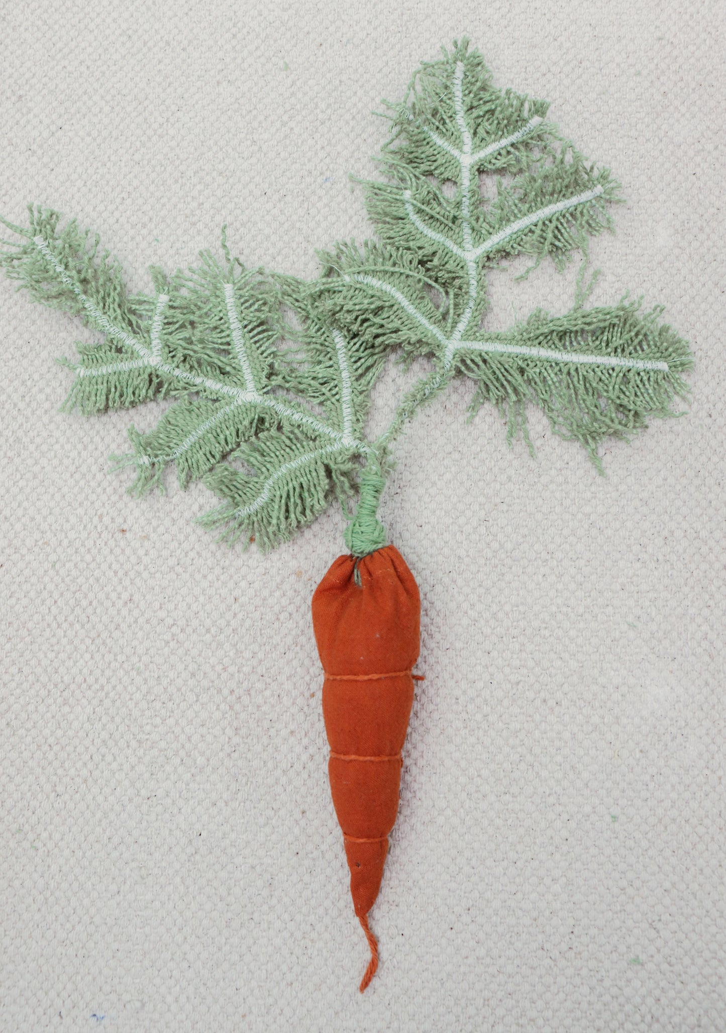 DIY Cathy The Carrot