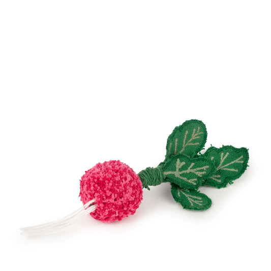 DIY Ramona The Radish